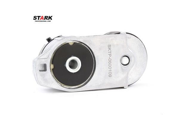 Número OEM 1 131 255 - Rolo tensor, correia trapezoidal estriada SKTP-0600109 FORD, JAGUAR