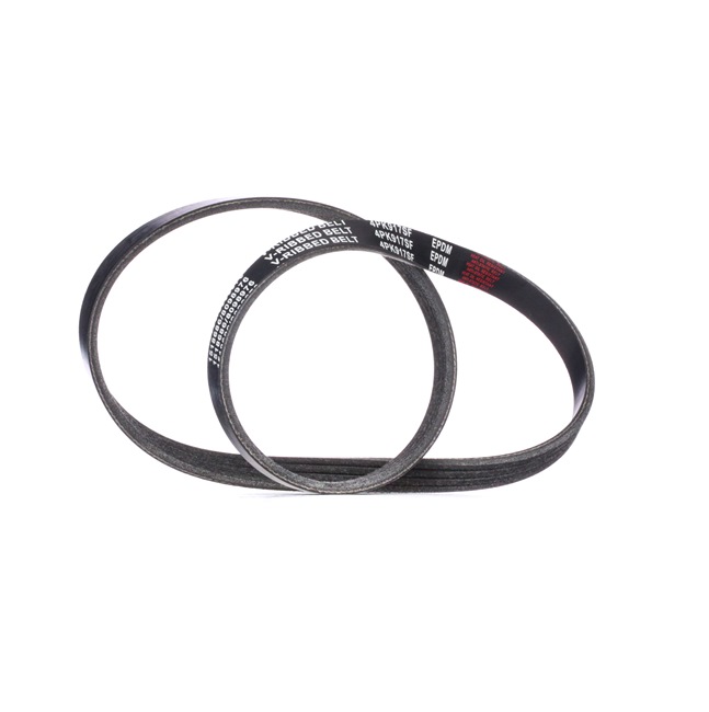 Correia trapezoidal estriada 305P0305 RIDEX BMW 3 Coupe (E46) 320Cd 2.0 2005 150 cv