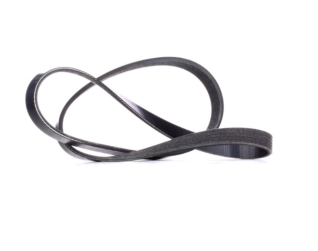 Numer OEM 1 453 619 - Pasek klinowy wielorowkowy 305B0258 FORD, FORD USA