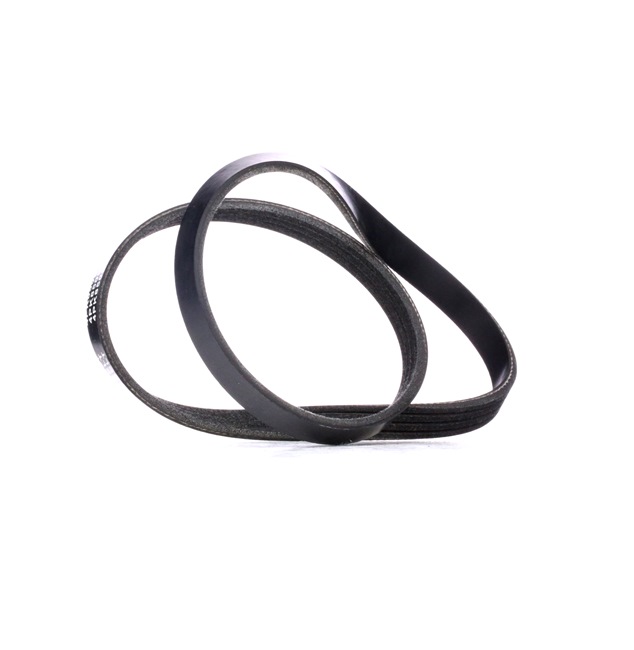 Correia trapezoidal estriada 305P0360 RIDEX BMW 7 (E65, E66, E67) 730d 3.0 2005 218 cv