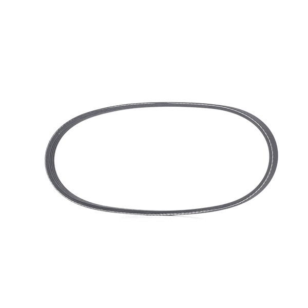 Correia trapezoidal estriada 305P0339 RIDEX VOLVO 440 K (445) 1.8 1992 90 cv