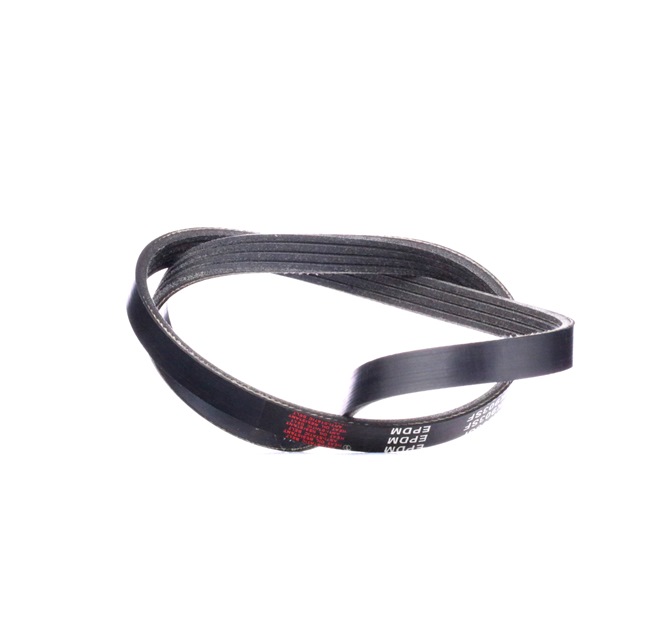 RIDEX | Correia Trapezoidal Estriada Elastic 305P0309 FIAT Ducato II Van (244) 2017 baratos online