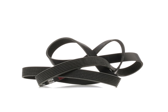 Correia trapezoidal estriada 305P0362 RIDEX HONDA Civic VIII Hatchback (FN, FK) 1.8 (FN1, FK2) 2005 140 cv