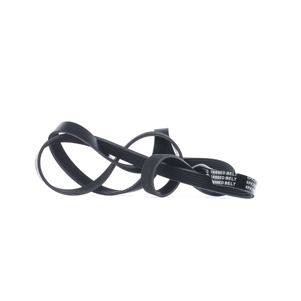 Correia trapezoidal estriada 305P0180 RIDEX OPEL Frontera B SUV (U99) 3.2 i 1998 205 cv