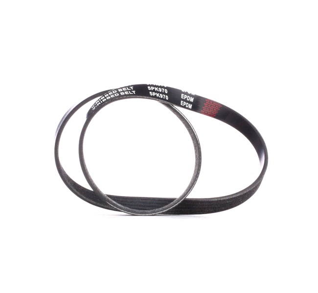 RIDEX 305P0369 Serpentine belt ALFA ROMEO 155 (167) 1.9 TD 90 hp Diesel 1995