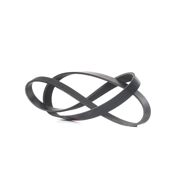 Serpentine belt 305P0190 RIDEX 074 145 933 N AUDI, FORD, PEUGEOT, SKODA, CITROËN