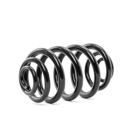 kopen online RIDEX Schroefveren 188C0166 BMW 44,83 €