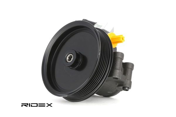 Elektrische Servopumpe 12H0021 RIDEX FORD Transit Mk5 Pritsche/Fahrgestell (V184, V185) 2.4 DI 2000 120 PS