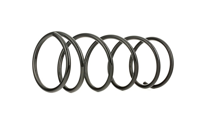 RIDEX 188C0018 Ressort de suspension arrière et avant Ford Focus dnw