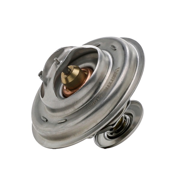 Termóstato, líquido de refrigeração 316T0030 RIDEX SEAT Alhambra I (7V8, 7V9) 2.8 V6 4motion 2000 204 cv