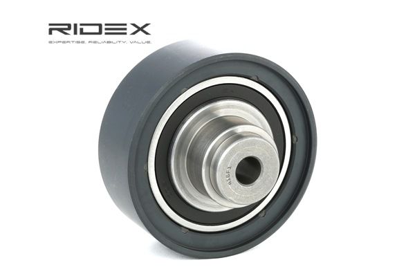 Polia de desvio / de guia, correia dentada 313D0035 RIDEX