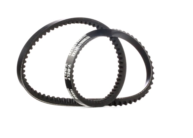 RIDEX | Correia Trapezoidal Comprimento: 838mm, Largura: 10mm 10C0062 ROVER Mini Hatchback 1992 baratos online