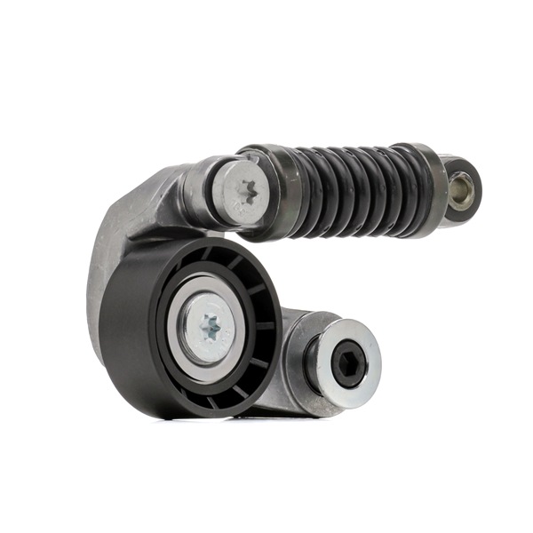 STARK SKTP-0600112 galet tendeur de courroie d'accessoire RENAULT Scénic I (JA0/1, FA0) 1.9 dCi 102CV 2000