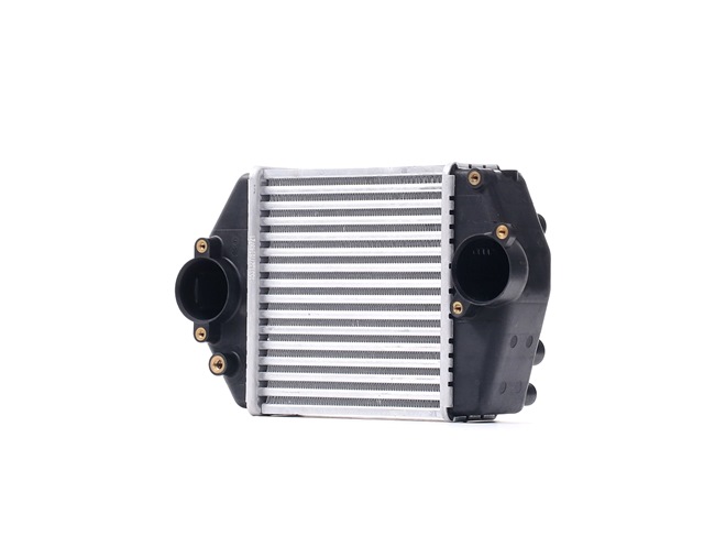 6 Ranchera familiar (GH): Intercooler de RIDEX