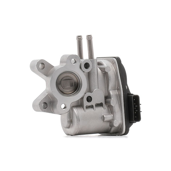 RIDEX EGR 1145E0044 Nissan 83,60 CHF online einkaufen