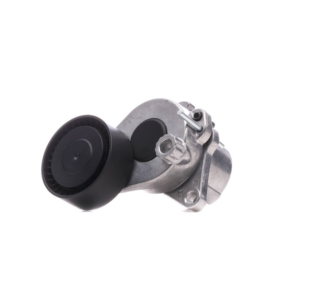 Numéro OEM A 651 200 18 70 - Poulie, tendeur de courroie d'accessoire SKTP-0600170 MERCEDES-BENZ