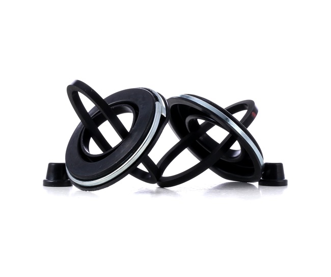 Kit di revisione della pinza freno 405R0080 RIDEX ALFA ROMEO 75 (162B) 1.8 Turbo i.e. 1987 155 CV