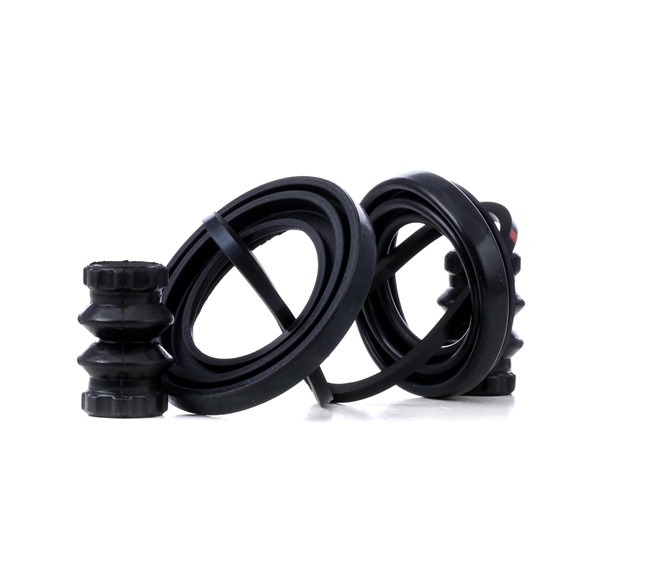 Kit di revisione della pinza freno 405R0035 RIDEX RENAULT Trafic II Bus (JL) 1.9 dCI 100 2002 101 CV