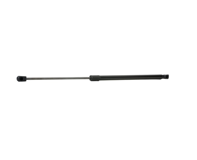 RIDEX 219G0311 Boot struts MITSUBISHI CARISMA (DA_) 1.8 116 hp Petrol 1997