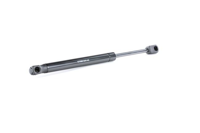 køb RIDEX (219G0074) Bagklapsdæmper