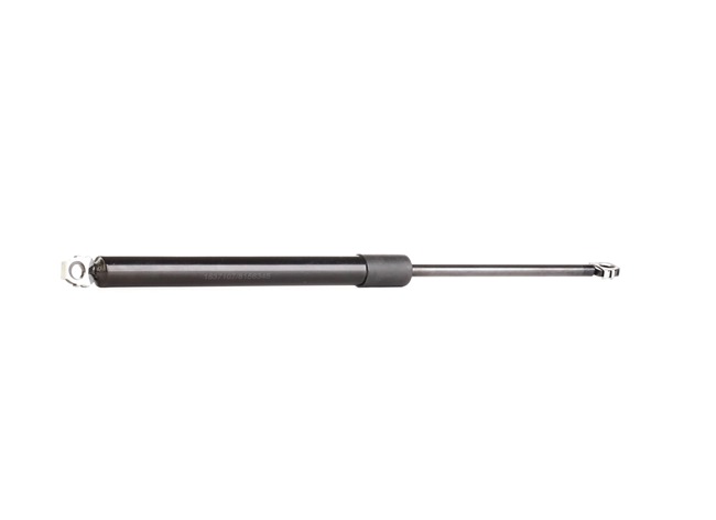 acquisto RIDEX (219G0295) Ammortizatore pneumatico, Cofano bagagli / vano carico