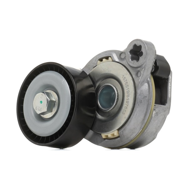 OEM nummer 31 330 379 - Remspännare 541V0018 VOLVO, FORD