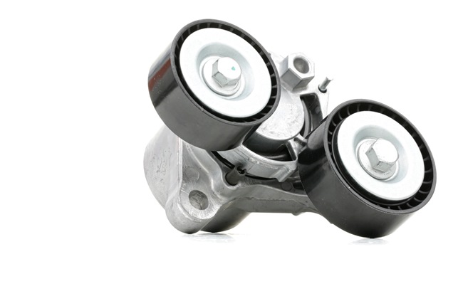 online RIDEX Spannrolle Keilrippenriemen 310T0149 BMW 58,46 € im Online-Shop kaufen
