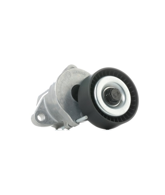 online RIDEX Spannrolle 310T0107 Opel 40,33 € im Online-Shop kaufen