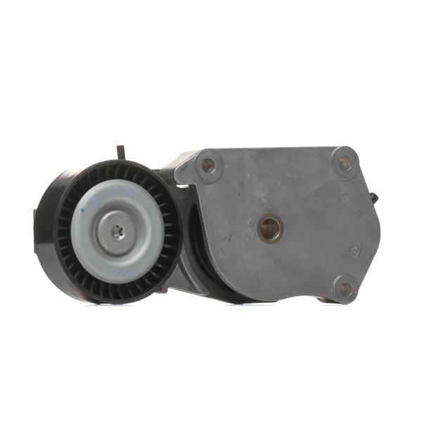 Rolo tensor, correia trapezoidal estriada 310T0144 RIDEX MINI Cabrio (R52) Cooper 2004 116 cv