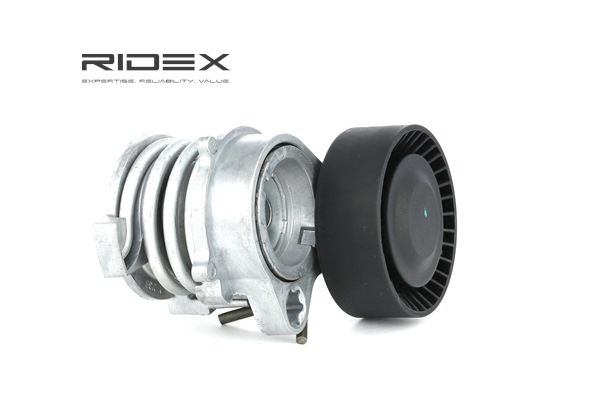 comprar RIDEX (310T0071) Rolo tensor, correia trapezoidal estriada