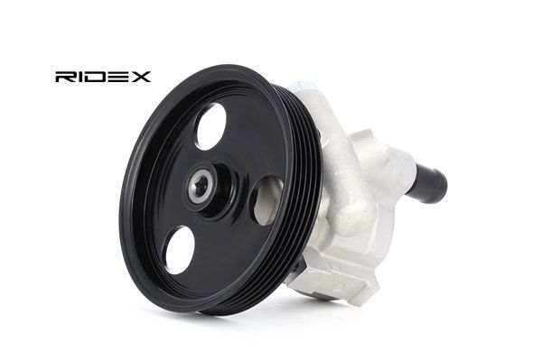 Elektrische Servopumpe 12H0041 RIDEX RENAULT Clio II Schrägheck (BB, CB) 1.2 LPG (BB0A, CB0A) 2000 60 PS