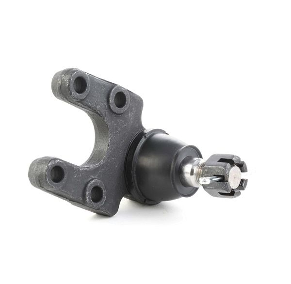 kopen online RIDEX Fuseekogels 2462S0144 Nissan 18,85 €