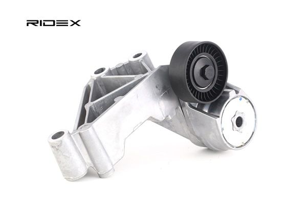 310T0063 RIDEX 1069359 Tensioner pulley