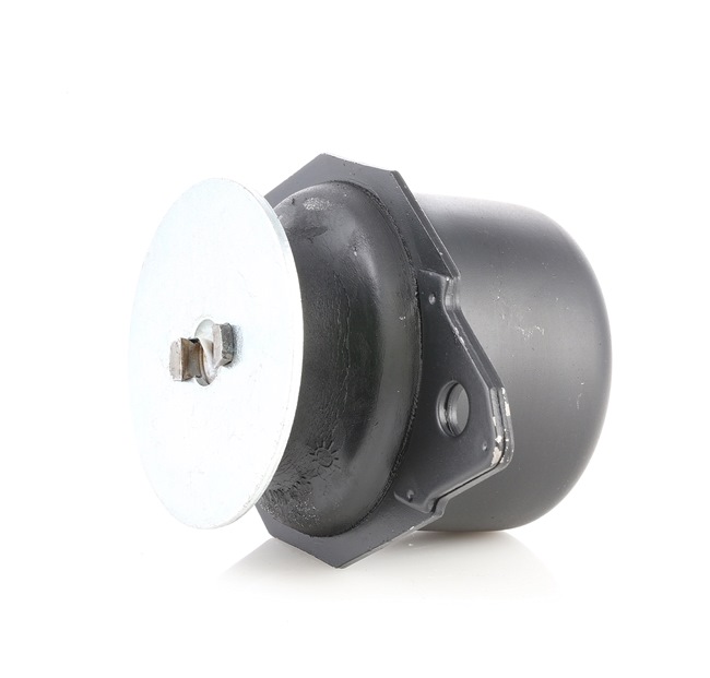 RIDEX 247E0013 support moteur Volkswagen Passat B5 Berline (3B2) 1.9 TDI Syncro/4motion 110CV 1998