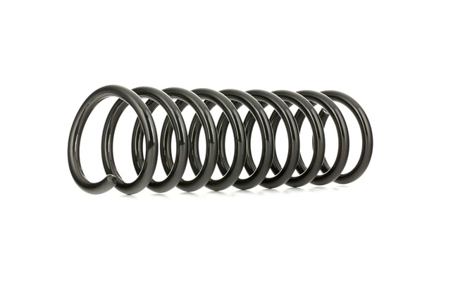 RIDEX 188C0275 Ressort de suspension arrière et avant Ford Transit V363