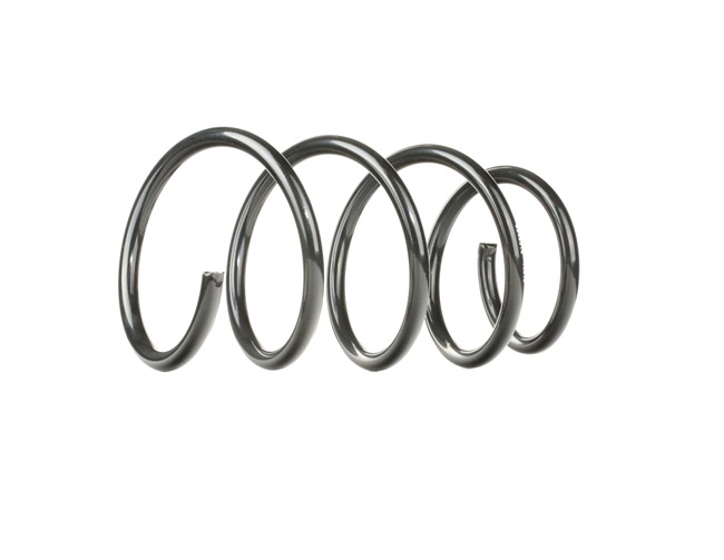 RIDEX 188C0121 ressort d'amortisseur RENAULT Scénic I (JA0/1, FA0) 1.9 dCi 102CV 1999