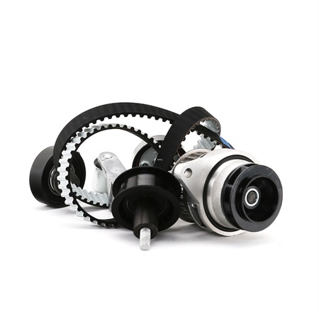 DOLZ KD051 timing belt and water pump SEAT Ibiza II (6K1) 1.4 16V 75hp 2001