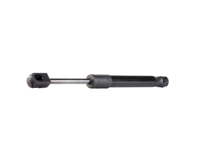 RIDEX 219G0458 boot struts FIAT Doblo I Cargo (223) 1.3 D Multijet 75hp 2006