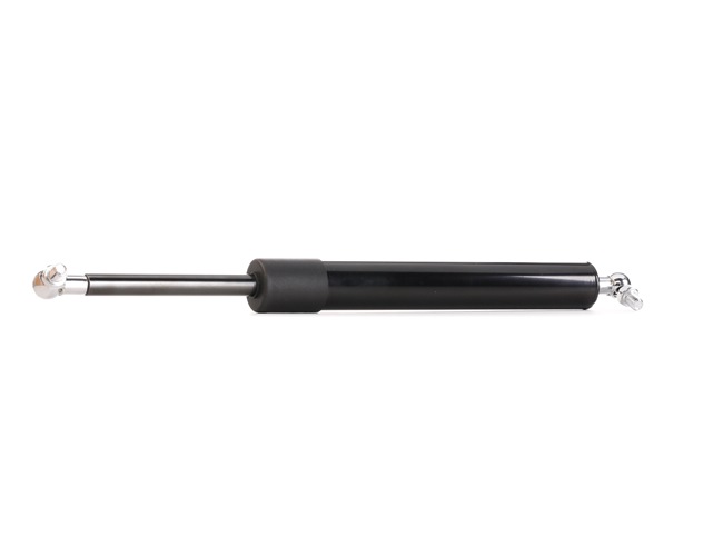 Honda Accord 7 Tourer (CM, CN) boot struts RIDEX 219G0522