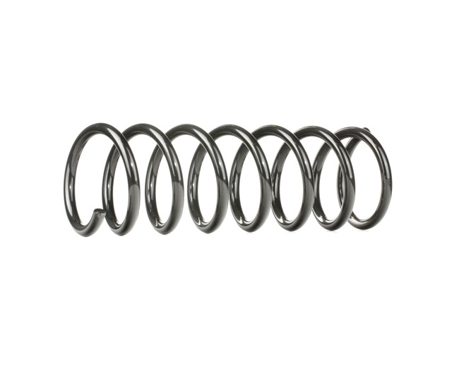 Suspension Ford C-Max DM2: Fjeder RIDEX 188C0331