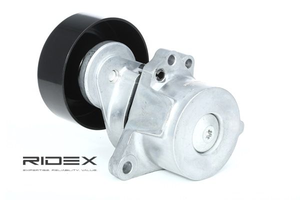 Numéro OEM 11955-6N20C - Poulie, tendeur de courroie d'accessoire 310T0109 RENAULT, NISSAN