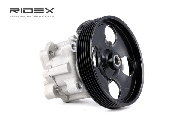 RIDEX | Hydraulische pomp Riemenschijf-Ø: 125mm, Hydraulisch 12H0095 CITROËN Jumpy II MPV (VF7) 2008 goedkoop online
