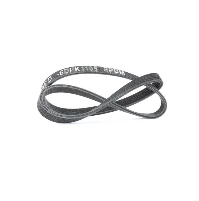 MEYLE | Correia serpentina ORIGINAL Quality 050 006 1195/D AUDI TT Roadster (8N9) 2001 baratos online