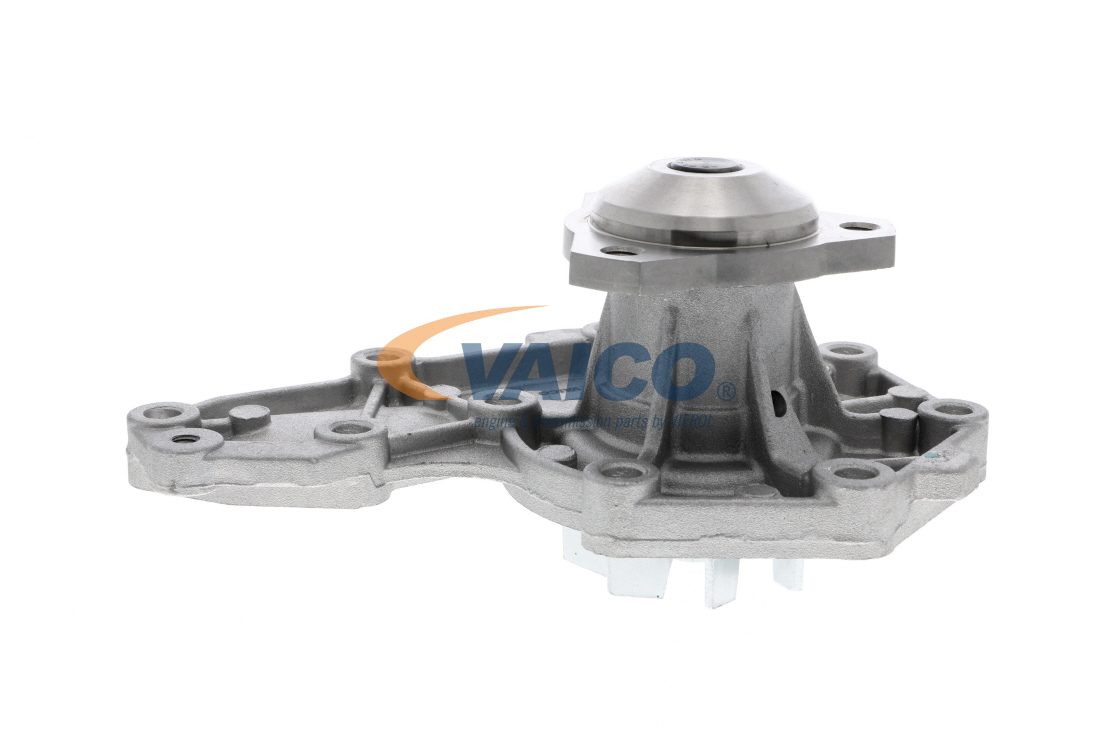 VAICO V95-50009 pompe à eau RENAULT Scénic I (JA0/1, FA0) 1.9 dCi 102CV 2003