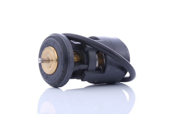 Kühlwasserthermostat 160044810 AUTOMEGA SKODA Octavia II Schrägheck (1Z3) 1.4 2004 80 PS