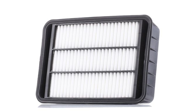 buy AUTOMEGA (180034710) Air filter