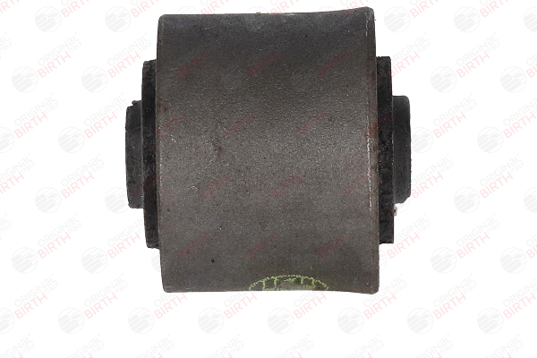Querlenker-Gummilager 2285 BIRTH RENAULT Megane Scenic (JA) 2.0 i (JA02, JA0G) 1999 109 PS