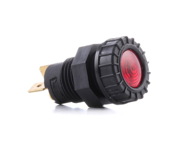 Lampka kontrolna 2AA 008 594-031 HELLA