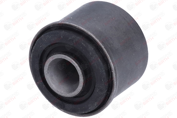 Querlenkerbuchse 2439 BIRTH RENAULT Scénic I (JA0/1, FA0) 1.9 dCi RX4 2002 101 PS