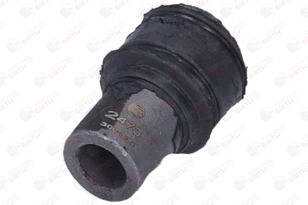 Querlenker-Gummilager 2473 BIRTH RENAULT Master II Pritsche/Fahrgestell 3.0 dCi 140 2005 136 PS